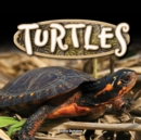 Image for Turtles