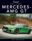 Image for Mercedes AMG-GT