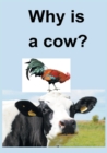 Image for Why Is a Cow?