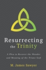 Image for Resurrecting the Trinity: A Plea to Recover the Wonder and Meaning of the Triune God