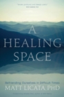Image for A healing space  : befriending ourselves in difficult times
