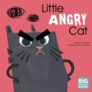 Image for Little angry cat
