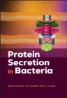 Image for Protein Secretion in Bacteria