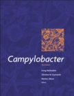 Image for Campylobacter