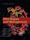 Image for DNA Repair and Mutagenesis