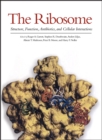 Image for The Ribosome : Structure, Function, Antibiotics, and Cellular Interactions
