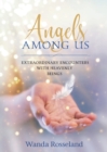 Image for ANGELS AMONG US