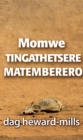 Image for Momwe Tingathetsere Matemberero