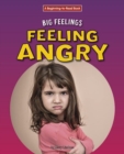 Image for Feeling Angry