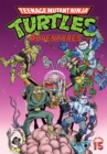 Image for Teenage Mutant Ninja Turtles adventuresVolume 15