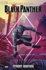 Image for Marvel Action: Black Panther: Stormy Weather (Book One)