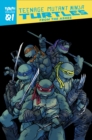 Image for Teenage Mutant Ninja Turtles: Reborn, Vol. 1 - From The Ashes