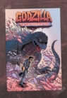 Image for Godzilla: The Half-Century War