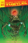 Image for Teenage Mutant Ninja Turtles: Reborn, Vol. 5 - Mystic Sister