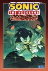 Image for Sonic the Hedgehog: Scrapnik Island