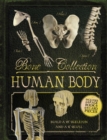 Image for Bone Collection: Human Body