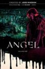 Image for Angel Vol. 1 20th Anniversary Edition