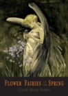 Image for Flower Fairies of the Spring