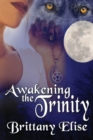 Image for Awakening the Trinity