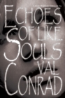 Image for Echoes of Like Souls