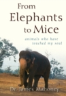 Image for From Elephants to Mice : Animals Who Have Touched My Soul