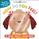 Image for My Little World: How Do You Feel? : A Book About Emotions