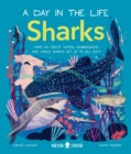 Image for Sharks (A Day in the Life) : What Do Great Whites, Hammerheads, and Whale Sharks Get Up To All Day?