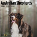 Image for AUSTRALIAN SHEPHERDS CAL 2020