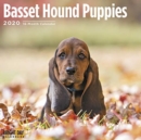 Image for BASSET HOUND PUPPIES CAL 2020