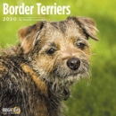 Image for BORDER TERRIERS WALL CALENDAR 2020