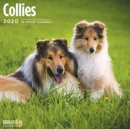 Image for COLLIES WALL CALENDAR 2020