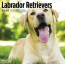 Image for LABRADOR RETRIEVERS CALENDAR 2020