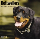 Image for ROTTWEILERS WALL CALENDAR 2020