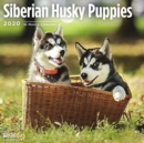 Image for SIBERIAN HUSKY PUPPIES CAL 2020
