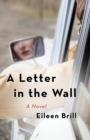 Image for A letter in the wall  : a novel
