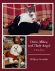 Image for Darla, Mikey, and Their Angel: A True Story