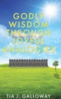 Image for Godly Wisdom through Joyful Analogies
