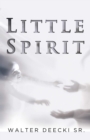 Image for Little Spirit