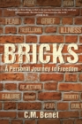 Image for Bricks: A Personal Journey to Freedom