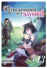 Image for Reincarnated as a Sword (Light Novel) Vol. 13