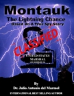 Image for Montauk  The Lightning Chance