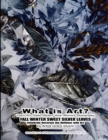 Image for What is Art? Learn Art Styles Modern Goth Abstract Photography FALL WINTER SWEET SILVER LEAVES Celebrate Decorate the Holidays with Art by Artist Grace Divine