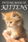 Image for Picture Book of Kittens : Picture Book of Kittens: For Seniors with Dementia [Cute Picture Books]