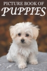 Image for Picture Book of Puppies : Picture Book of Puppies: For Seniors with Dementia [Cute Picture Books]