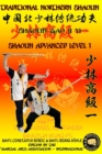 Image for Shaolin Advanced Level 1