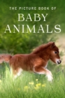Image for The Picture Book of Baby Animals