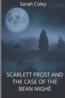 Image for Scarlett Frost and the case of Bean Nighe