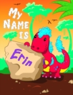 Image for My Name is Erin
