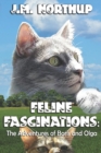 Image for FELINE FASCINATIONS : The Adventures of Boris and Olga
