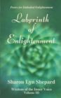 Image for Labyrinth of Enlightenment, Wisdom of the Inner Voice Volume III
